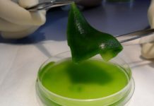 Hulk, el tejido que salva vidas