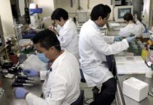 Ensayan con éxito un nuevo tipo de vacuna contra el cáncer