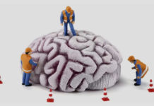 Enfermedades cerebrales afectan a más de mil millones de personas en todo el mundo.