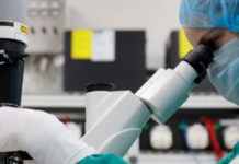 Inovio declara que vacuna de COVID-19 produce anticuerpos en ratones y cobayas