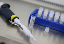 La carrera hacia una vacuna de coronavirus: ¿Qué es lo último?