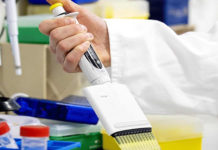 Coronavirus: la vacuna podría estar en tiempo récord.