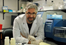 Argentina fue seleccionada para probar la vacuna de Pfizer contra el coronavirus