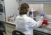 La vacuna contra el coronavirus de la universidad de Oxford produjo una “doble defensa” contra la enfermedad en su primera fase de testeo.