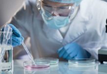 Fuerte inversión en ciencia y tecnología para luchar contra el coronavirus.