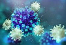 Inmunidad al coronavirus: ¿qué son las células T y de qué forma aportan inmunidad oculta contra la covid-19?