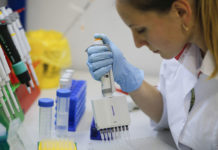 Cuál será el rol de América Latina en el desarrollo y fabricación de Sputnik V, la vacuna rusa contra el coronavirus