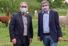 Investigadores argentinos neutralizan la infección del coronavirus con anticuerpos de llamas y huevos