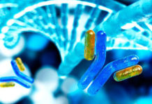 De que se trata la terapia con anticuerpos monoclonales contra covid que ha sido aprobada.