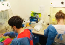 La ANMAT autorizó el uso del kit FlashPrep® ARN SARS-CoV-2 Highway