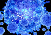 El sistema inmunológico crea una defensa duradera después de la recuperación del COVID-19.