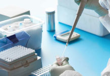 Un cóctel de anticuerpos monoclonales ofreció una fuerte protección contra Covid-19.