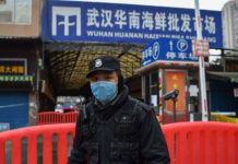 Origen del coronavirus: por qué es tan difícil determinar cómo surgió un virus