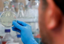 Descubrieron el “talón de Aquiles” del coronavirus para evitar que se multiplique en el cuerpo