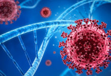 Coronavirus: el gráfico que muestra cómo funcionan 4 tipos de vacunas para combatir la covid-19