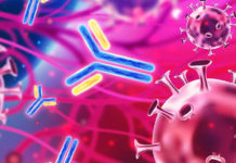 ¿Cuántos anticuerpos son necesarios para ser inmune al coronavirus?