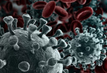 «Guerra microbiológica»: una bacteria aplicada en spray podría proteger contra el coronavirus