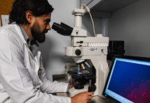 ¿Volver a caminar? Una investigación publicada por un científico del Conicet arrojó resultados alentadores en lesiones de medula espinal.