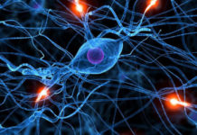 ¿Qué es un aneurisma y cómo tratarlo?