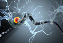 Investigadores japoneses descubrieron que un fármaco experimental para tratar el Alzhéimer también es efectivo contra la ELA