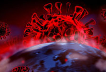 Caen bruscamente los casos de COVID-19 en Sudáfrica, Noruega y Dinamarca: “Ómicron no sería muy duradera”