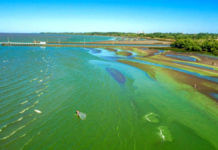 Salud advierte por la presencia de cianobacterias en aguas recreativas de Buenos Aires, Santa Fe, Entre Ríos y Córdoba