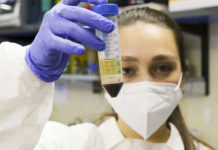 Aseguran que la memoria celular que generan las vacunas contra el Covid reconoce todas las variantes