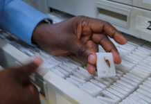 El increíble descubrimiento de expertos brasileños que puede ayudar a tratar el cáncer