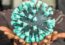 Estudio argentino avala la combinación de vacunas como esquema primario y será tapa de la prestigiosa revista Cell Reports Medicine