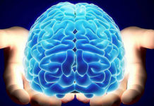 Día Mundial del Cerebro: pautas para prevenir el deterioro cognitivo