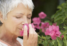 La pérdida repentina del olfato puede advertir una enfermedad neurológica