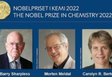 Premio Nobel de Química 2022: qué es la química «Lego» (y cómo puede revolucionar los tratamientos de enfermedades como el cáncer)