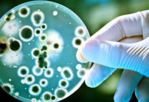 Se confirma la relación entre la depresión y las bacterias intestinales