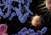 Antimicrobianos: un desafío para la salud mundial