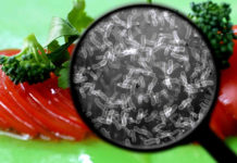 Comunicado del Ministerio de Salud de la Nación ante la investigación de casos de enfermedad transmitida por alimentos en Berazategui