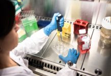 Identifican un posible enfoque para evitar que el cáncer evolucione