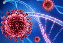 Disminuyeron 89% los contagios de coronavirus en el último mes