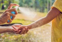 Detectaron siete casos de dengue en Tucumán y uno en Jujuy