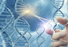 ¡Increíble! Descubre los 5 avances del Genoma humano que están revolucionando la medicina y podrían cambiar tu vida para siempre.