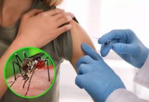 La ANMAT finalmente aprueba la vacuna contra el dengue del laboratorio Takeda ¡Descubre cómo esta vacuna revolucionaria está protegiendo a miles de personas del mortal virus del dengue!