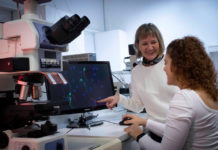 Un asombroso avance revolucionará la batalla contra enfermedades neurodegenerativas