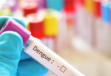 Los casos de dengue aumentan a nivel mundial