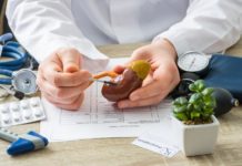 ¡Increíble hazaña médica en trasplantes renales de Argentina!