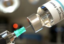 ¿Sabías que ya podes aplicarte la vacuna contra el Dengue?