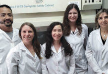 El CONICET revela la clave contra el síndrome urémico hemolítico.