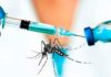 Plan de vacunación contra el dengue: cuáles serán las provincias que empezarán en agosto